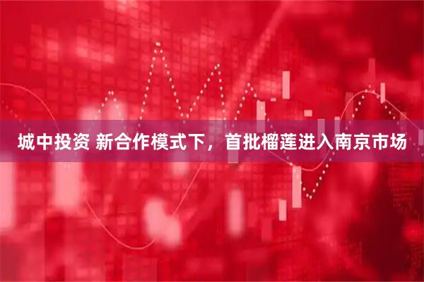 城中投资 新合作模式下，首批榴莲进入南京市场