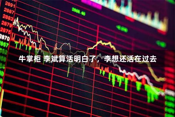 牛掌柜 李斌算活明白了，李想还活在过去