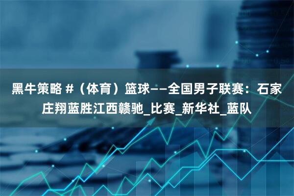 黑牛策略 #（体育）篮球——全国男子联赛：石家庄翔蓝胜江西赣驰_比赛_新华社_蓝队