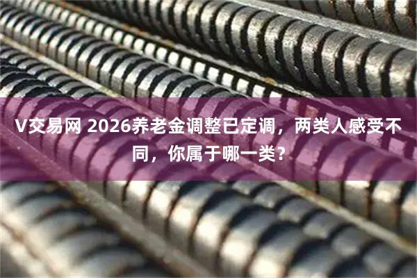 V交易网 2026养老金调整已定调，两类人感受不同，你属于哪一类？